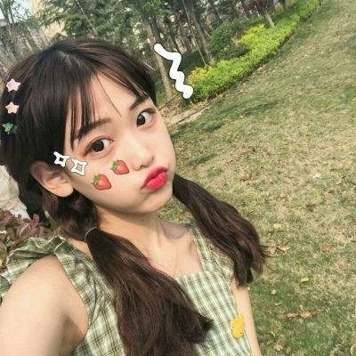 偷龙转猫