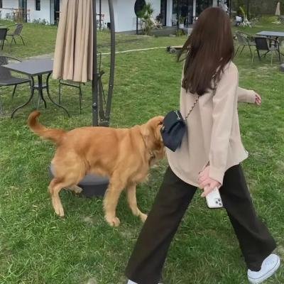 山里的春天